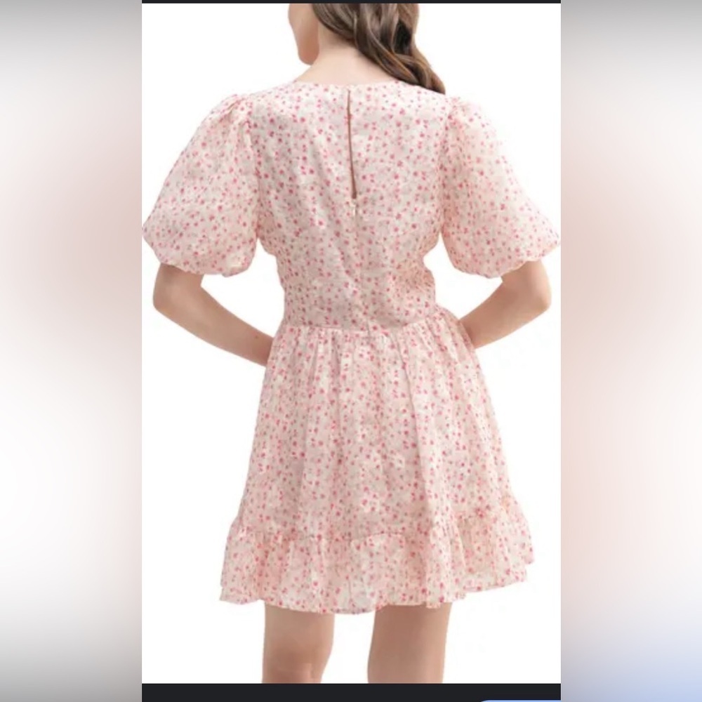 All in Favor Floral Puff Sleeve Mini Dress Cream Pink | Medium - Picture 1 of 10